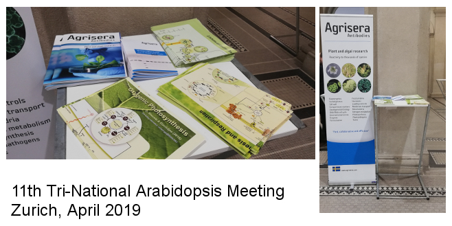 Tri National Arabidopsis meeting 2019